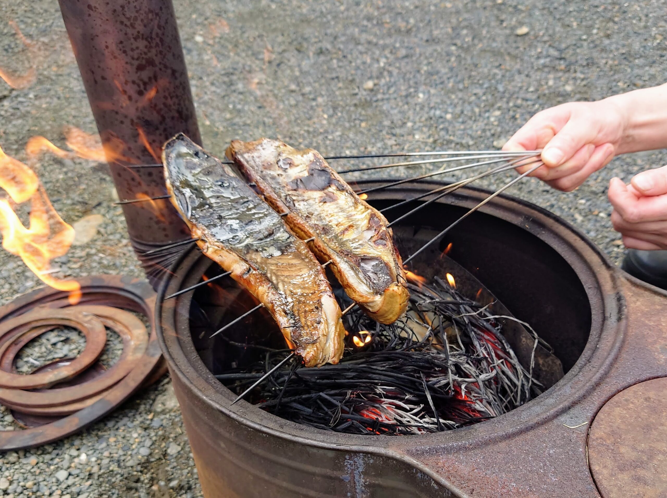 丸安魚店】カツオわら焼き | (株）丸安 丸安魚店/さかな家